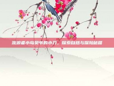 流浪者小岛贝爷的小刀，探索自然与探险秘籍