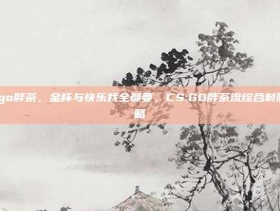 csgo胖茶，金杯与快乐我全都要，CS:GO胖茶流综合制胜攻略