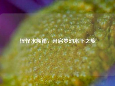 怪怪水族箱，开启梦幻水下之旅