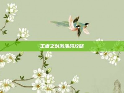 王者之剑激活码攻略