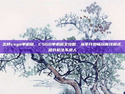 怎样csgo单机版，CSGO单机版全攻略，从零开始畅玩离线模式，提升枪法不求人