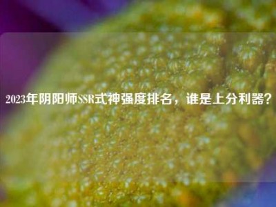 2023年阴阳师SSR式神强度排名，谁是上分利器？