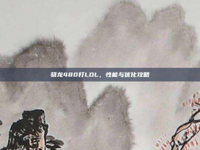骁龙480打LOL，性能与优化攻略