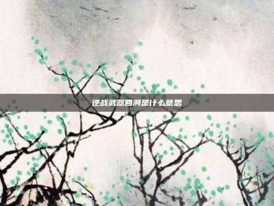 逆战武器回溯是什么意思