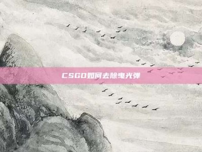 CSGO如何去除曳光弹