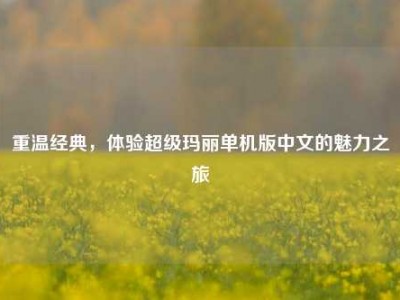 重温经典，体验超级玛丽单机版中文的魅力之旅