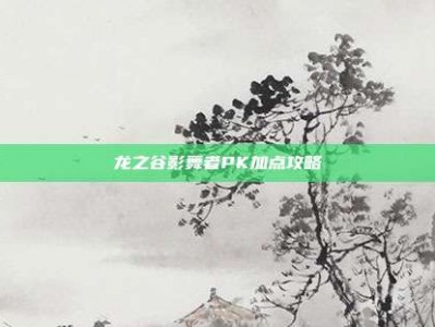 龙之谷影舞者PK加点攻略