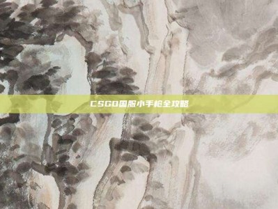 CSGO国服小手枪全攻略