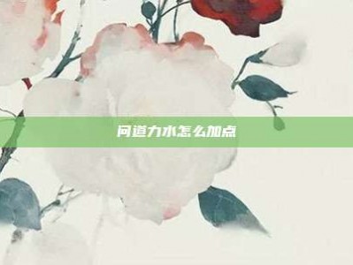 问道力水怎么加点