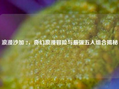 浪漫沙加 2，奇幻浪漫冒险与最强五人组合揭秘
