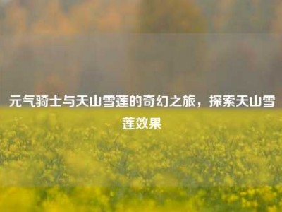 元气骑士与天山雪莲的奇幻之旅，探索天山雪莲效果