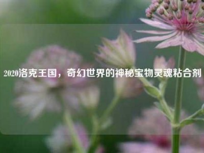 2020洛克王国，奇幻世界的神秘宝物灵魂粘合剂