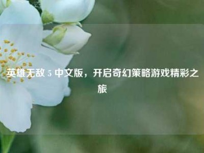 英雄无敌 5 中文版，开启奇幻策略游戏精彩之旅