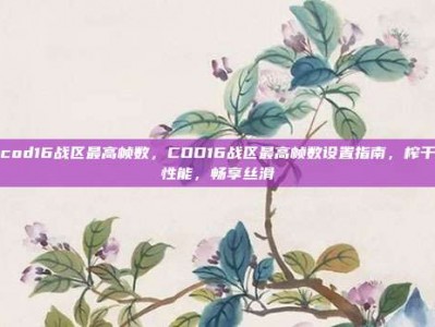 cod16战区最高帧数，COD16战区最高帧数设置指南，榨干性能，畅享丝滑