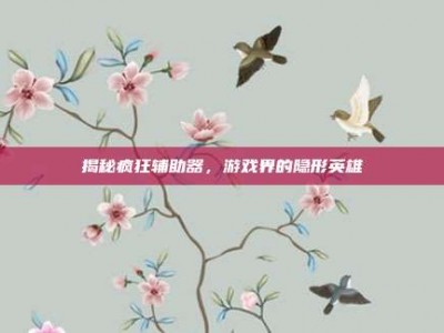 揭秘疯狂辅助器，游戏界的隐形英雄