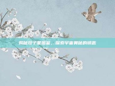 揭秘双子星图鉴，探索宇宙奥秘的钥匙