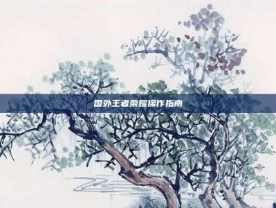 国外王者荣耀操作指南