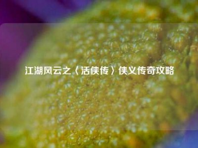 江湖风云之〈活侠传〉侠义传奇攻略