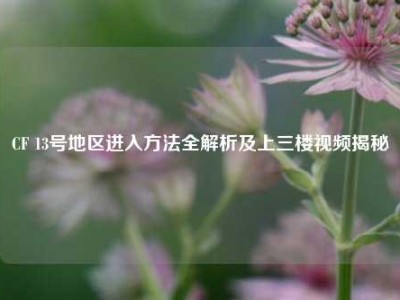 CF 13号地区进入方法全解析及上三楼视频揭秘
