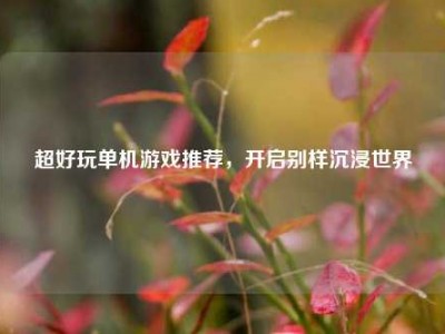 超好玩单机游戏推荐，开启别样沉浸世界