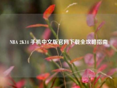 NBA 2K14 手机中文版官网下载全攻略指南