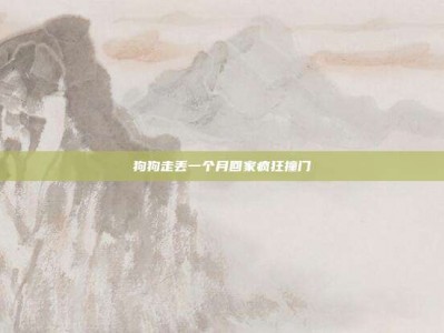 狗狗走丢一个月回家疯狂撞门