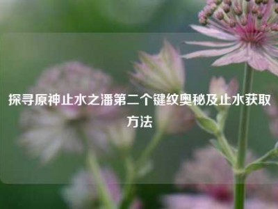 探寻原神止水之潘第二个键纹奥秘及止水获取方法