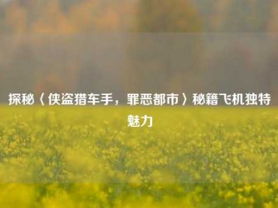 探秘〈侠盗猎车手，罪恶都市〉秘籍飞机独特魅力