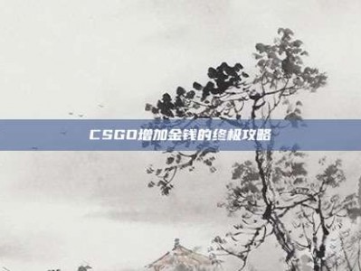 CSGO增加金钱的终极攻略