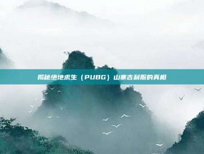 揭秘绝地求生（PUBG）山寨吉利服的真相