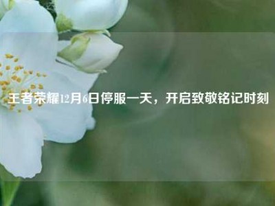 王者荣耀12月6日停服一天，开启致敬铭记时刻