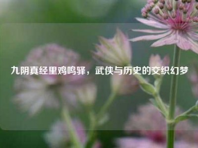 九阴真经里鸡鸣驿，武侠与历史的交织幻梦