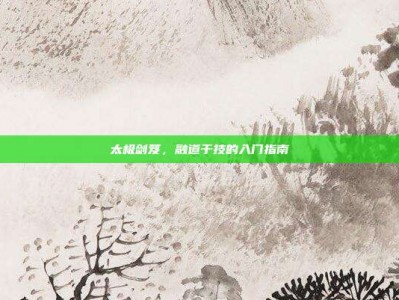 太极剑笈，融道于技的入门指南