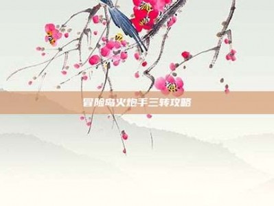 冒险岛火炮手三转攻略