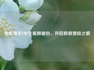 地牢猎手2中文版数据包，开启极致冒险之旅