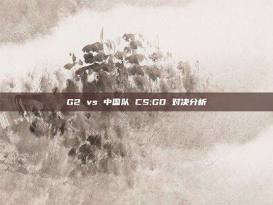 G2 vs 中国队 CS:GO 对决分析
