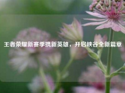 王者荣耀新赛季携新英雄，开启峡谷全新篇章