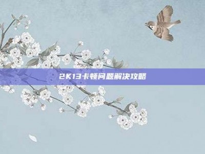 2K13卡顿问题解决攻略