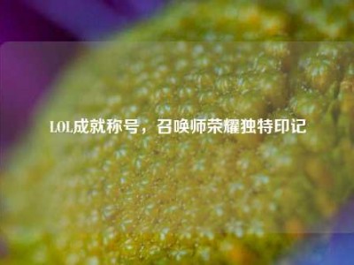 LOL成就称号，召唤师荣耀独特印记
