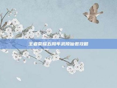 王者荣耀五周年武陵仙君攻略