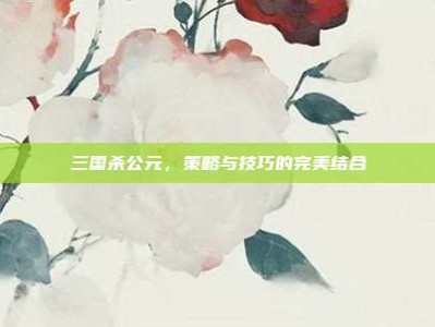 三国杀公元，策略与技巧的完美结合