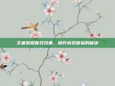 王者荣耀音效合集，提升游戏体验的秘诀