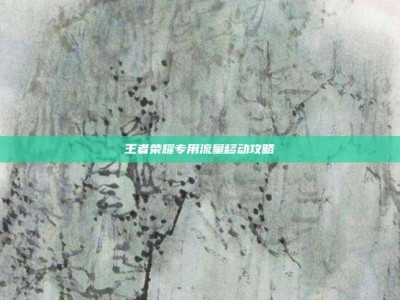 王者荣耀专用流量移动攻略