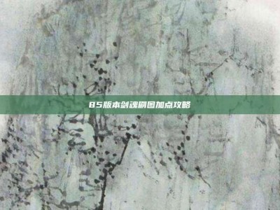 85版本剑魂刷图加点攻略