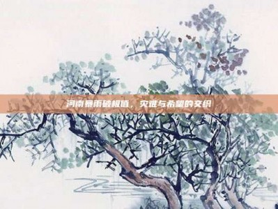 河南暴雨破极值，灾难与希望的交织