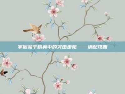 掌握和平精英中的突击步枪——满配攻略