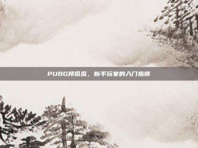 PUBG邦瓜瓜，新手玩家的入门指南