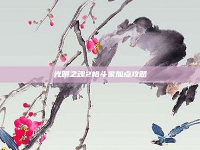 光明之魂2格斗家加点攻略
