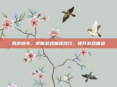 网游快车，掌握游戏加速技巧，提升游戏体验