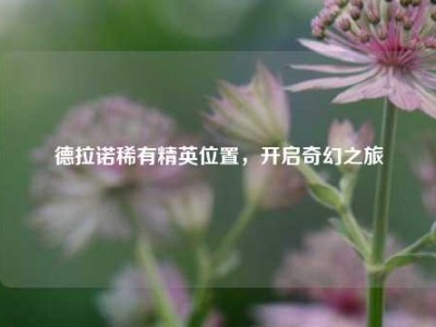 德拉诺稀有精英位置，开启奇幻之旅